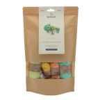 Casper Chameleon knitting kit from The Stitch