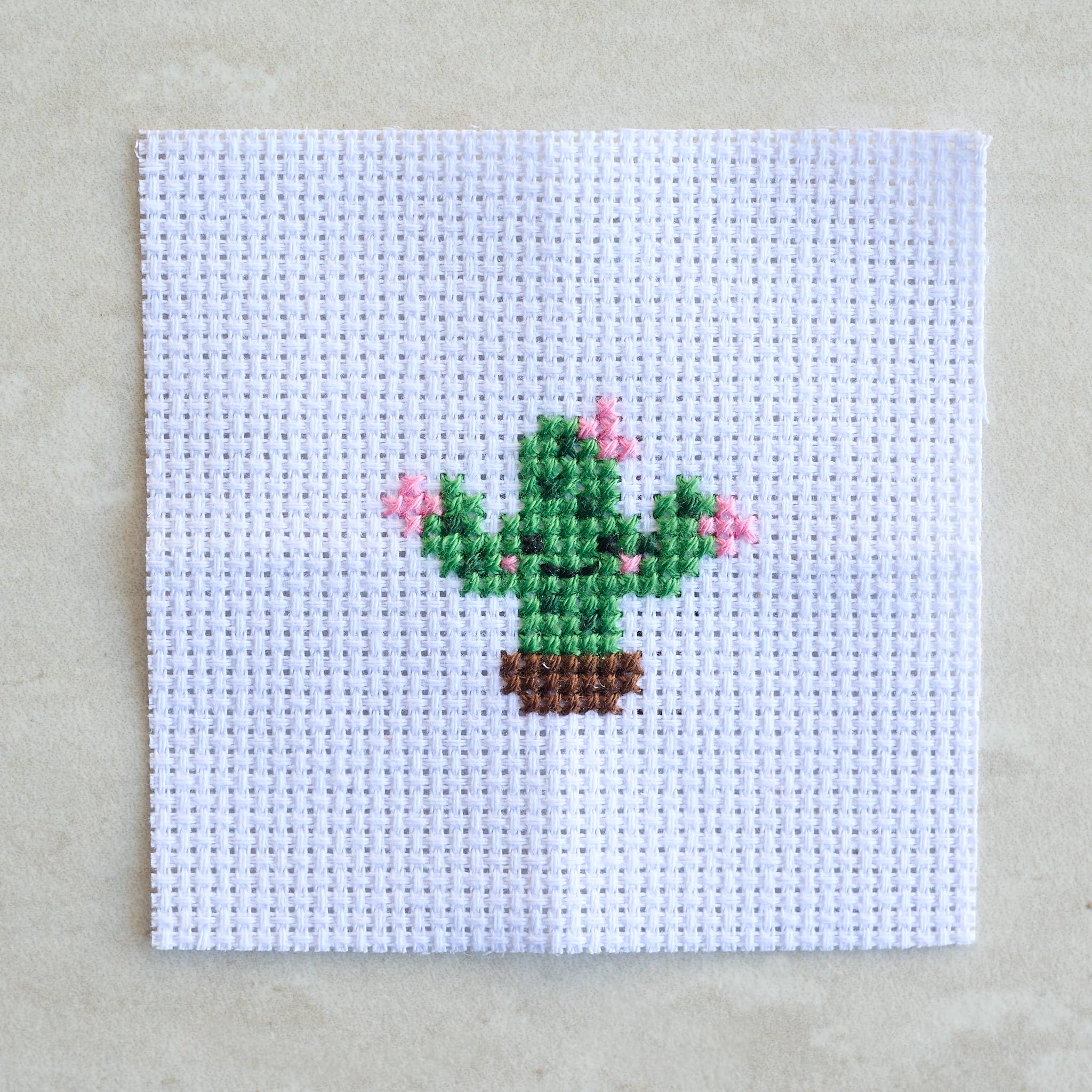 Kawaii Cactus cross stitch kit matchbox packaging