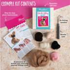 Baby Dragon Mini Needle Felting Kit from The Stitch