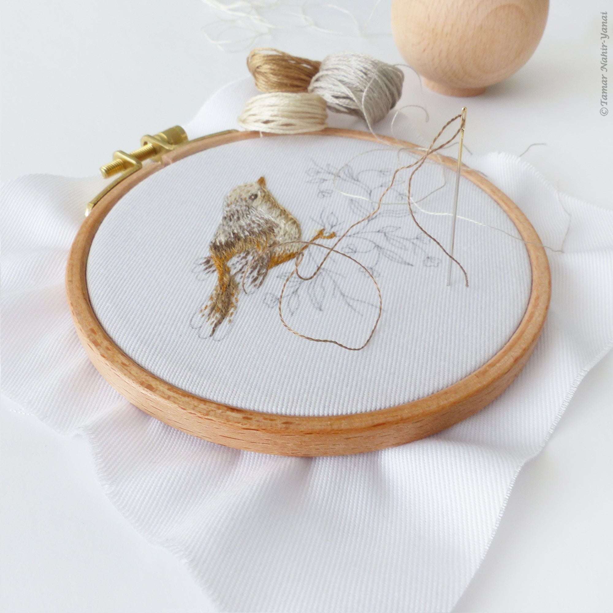Little Bird embroidery kit by Tamar Nahir-Yanai