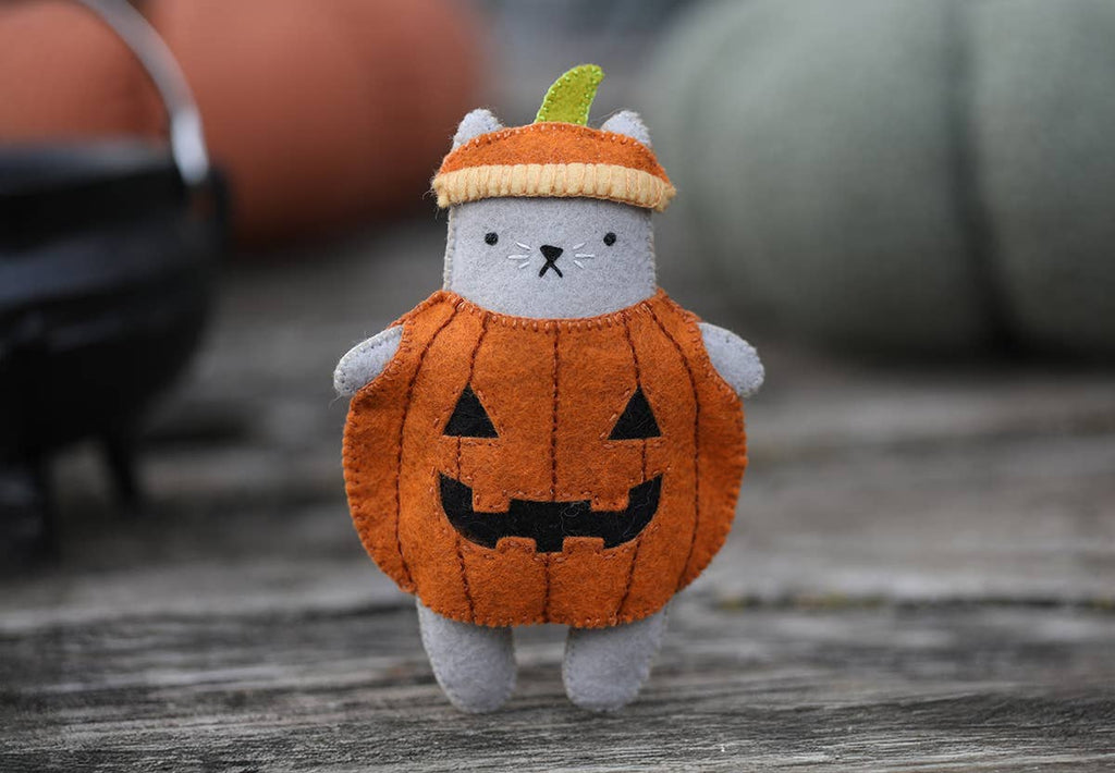 The finished pumpkin cat with its green stem hat and yellow ribbed brim