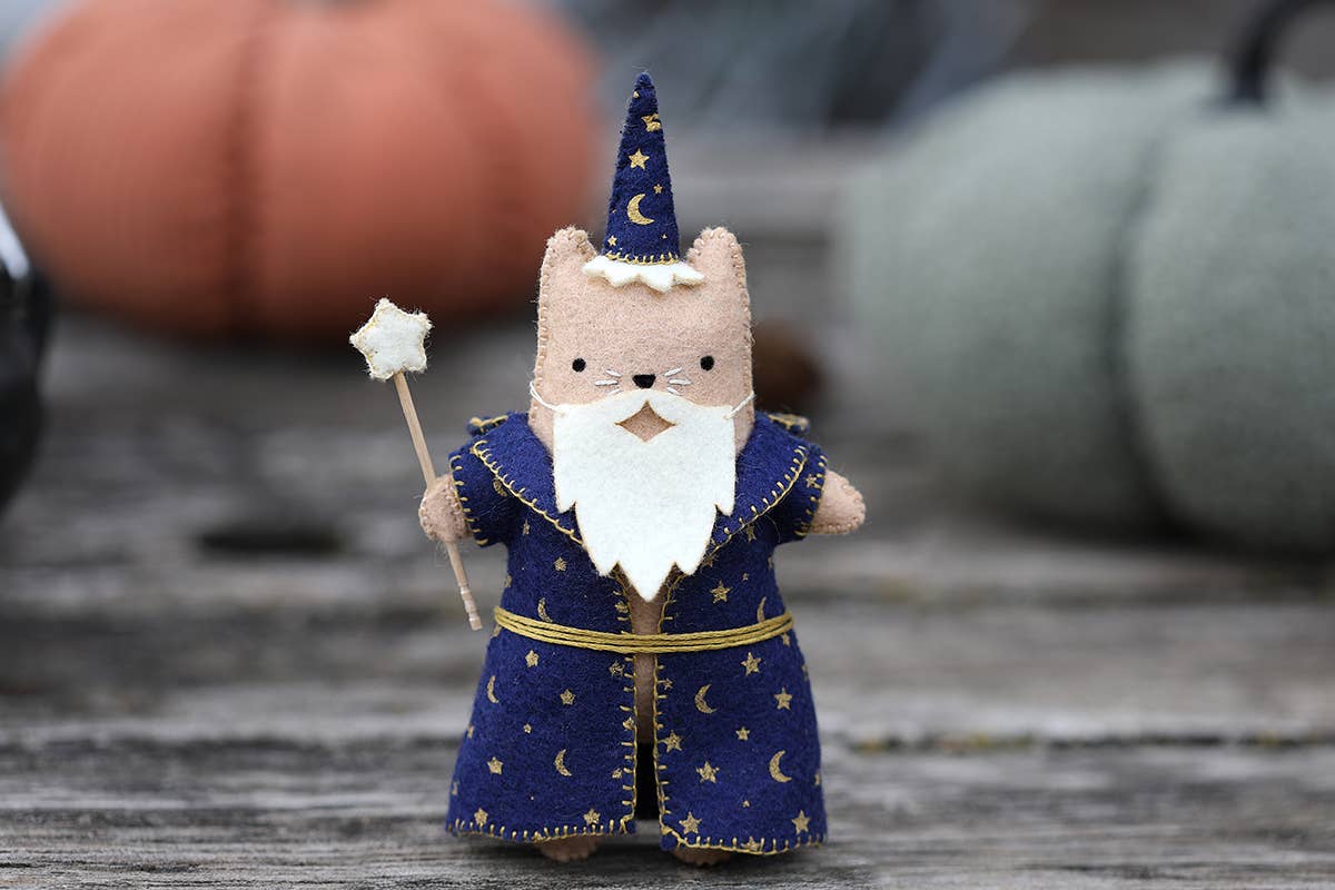 The finished wizard cat with its star wand and long white beard, styled with pumpkins